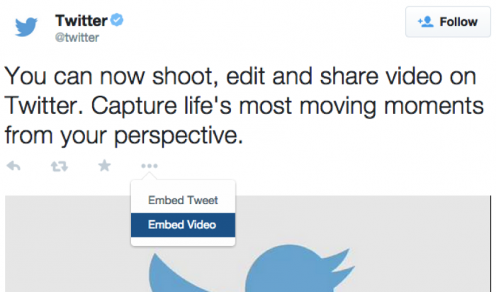 twitter embed video