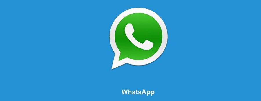 WhatsApp 800 Mio
