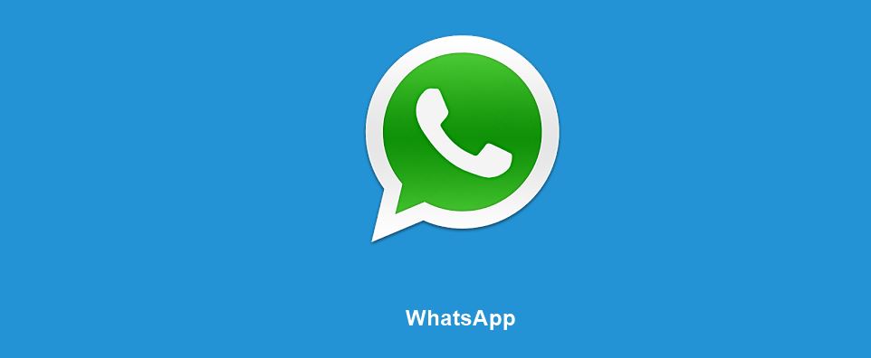 WhatsApp 800 Mio
