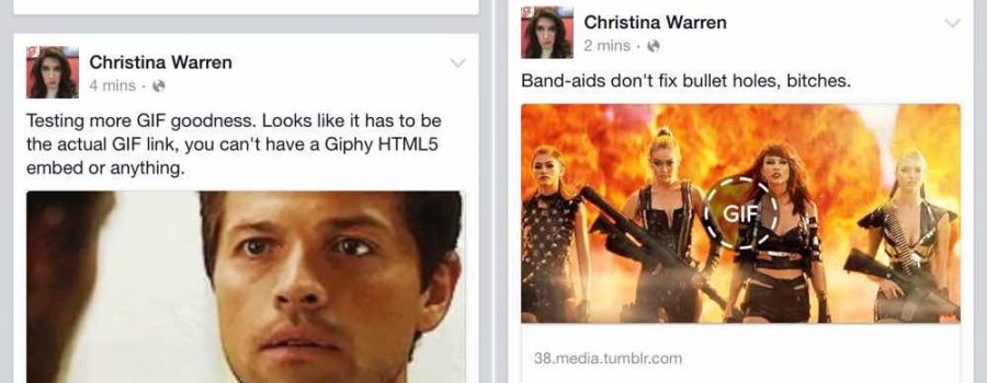 facebook newsfeed gif