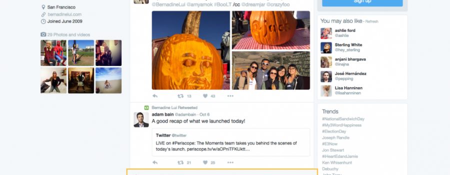 twitter promoted tweets visitor