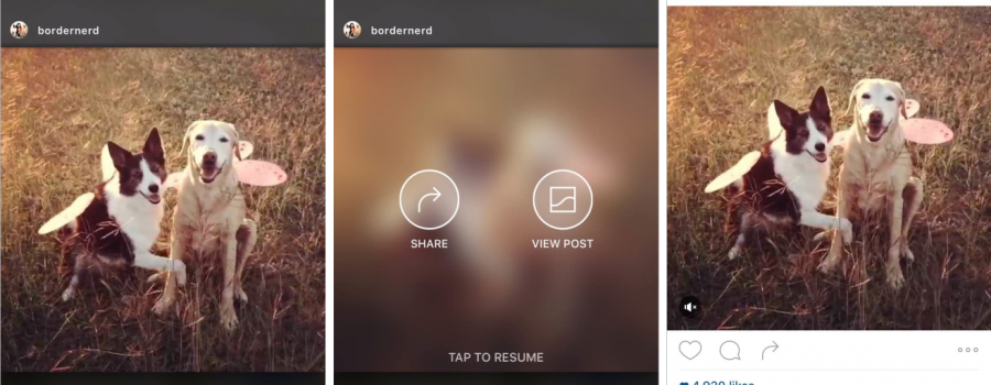 instagram spotlight compilations