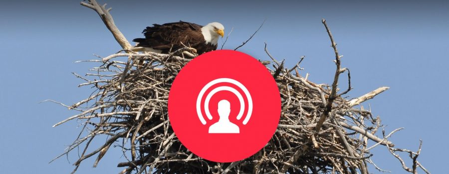 facebook continuous live video
