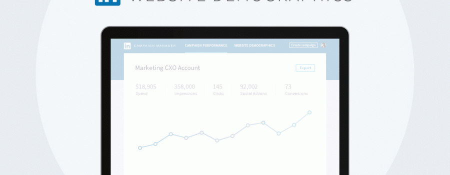 linkedin website demographics