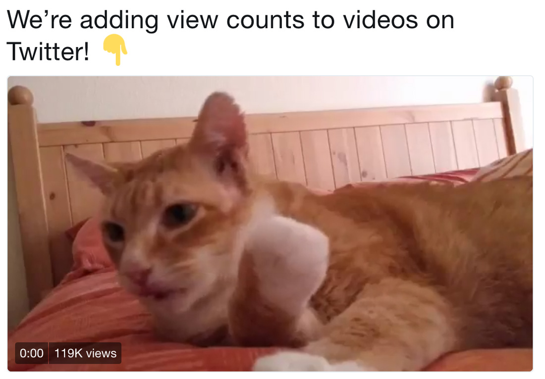twitter videos view count