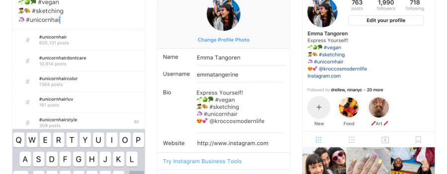 instagram biografie hashtag-links