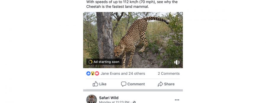 facebook werbeunterbrechungen