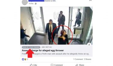 facebook geteilte artikel